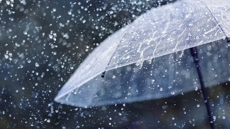 Parashikimi i motit për ditën e nesërme