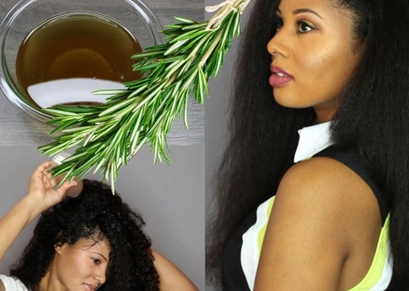 Këtë bimë e keni në kopsht, por nuk e keni ditur që shëron rënien e flokëve!