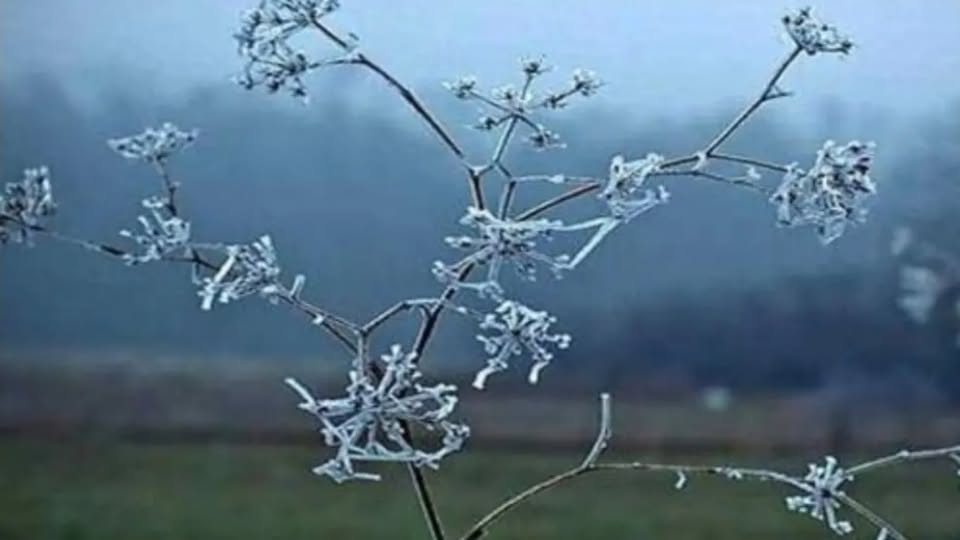 Ftohti polar godet Kosovën: Çfarë na pret në ditët në vijim?