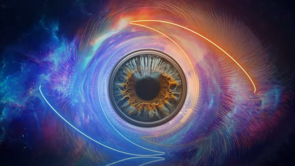 Kjo këngëtare e njohur i thotë “jo” Big Brother-it