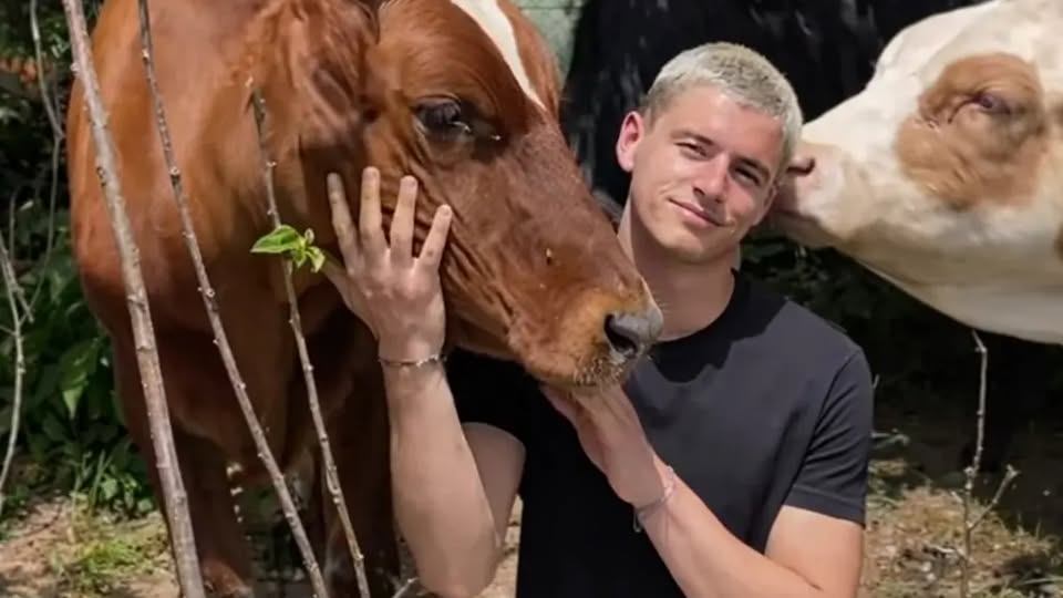 Jeta e vërtetë pas kamerave e Londrimit nga shtalla e lopëve